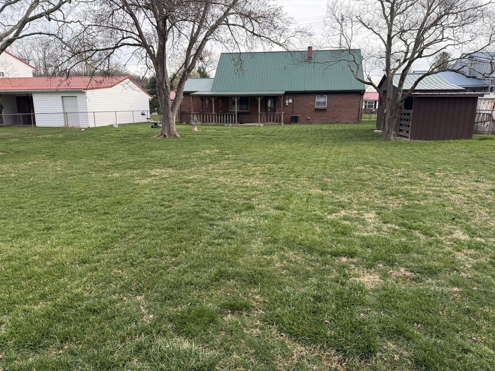 Yard reset after a cut